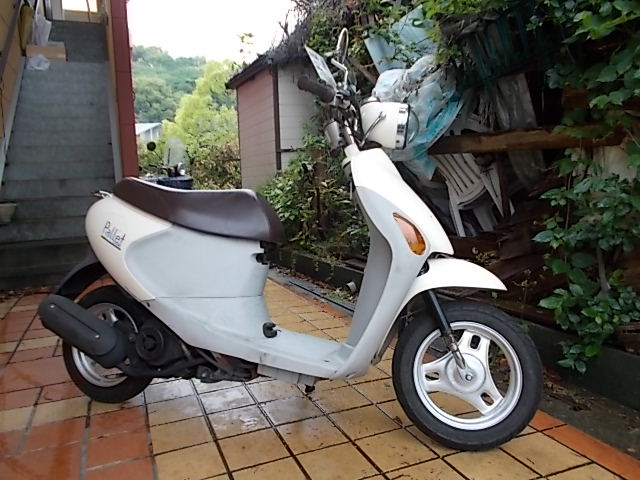 DSCN1650